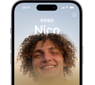 沈丘苹果15服务站分享iPhone15实时语音留言开启方法 