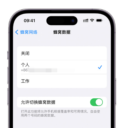 沈丘苹果维修服务分享如何在iPhone上使用双卡 